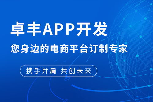 app滿(mǎn)減商城 嵩縣app 多圖